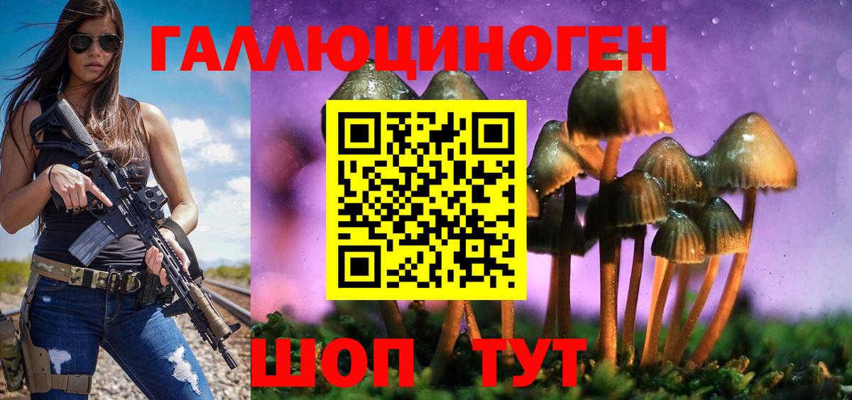 ГАШ Магадан